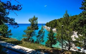 Apartment Zorika Near The Beach
